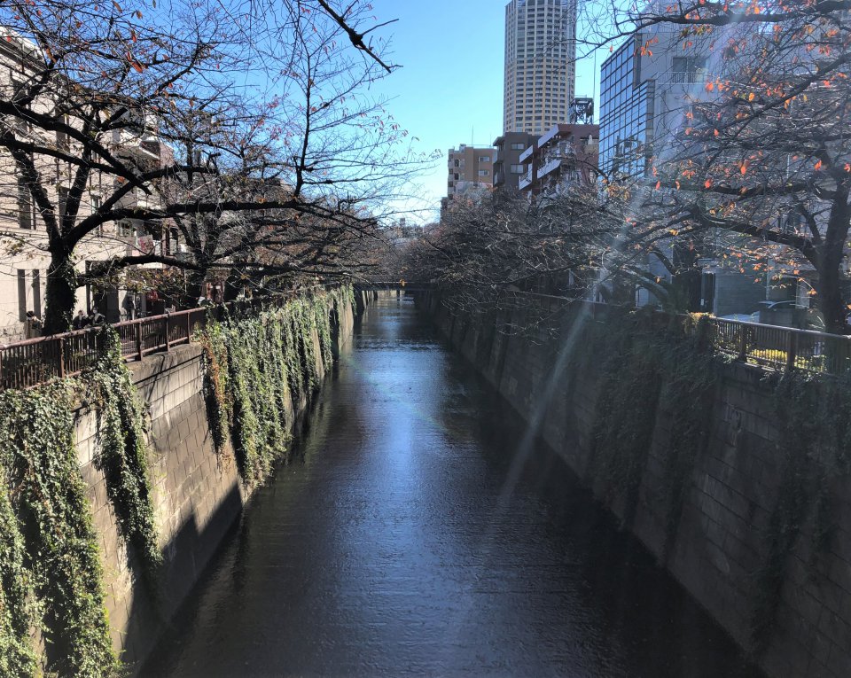 見慣れた風景の画像